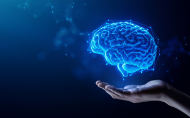 Effectiveness of Chiropractic neuro-rehabilitation